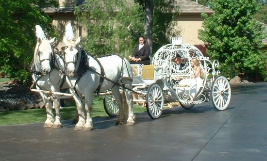 Horse Carriage San Francisco, unique Wedding Carriage ...