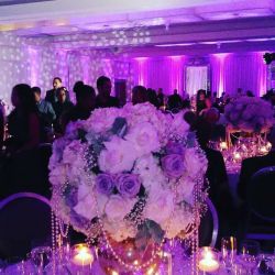 Noa G Designs- Special Events and Catering Desig